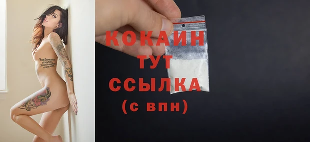 гашик Тында