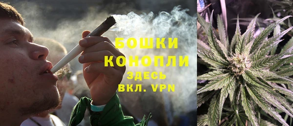 хмурый Инта